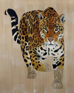 Panthera Onca par Thierry Bisch