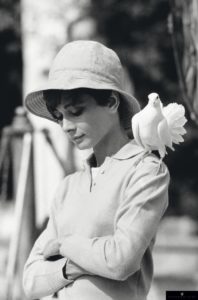 Hepburn With Dove by Terry O'Neill © Terry O'Neill / Iconic Images