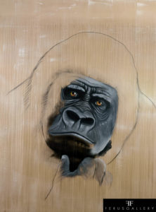 2018-GORILLA-GORILLA-200X150