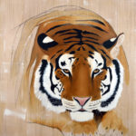 2018-PANTHERA-TIGRIS-200X150CM