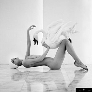 Model Frauke Quast with Swan, 1984.