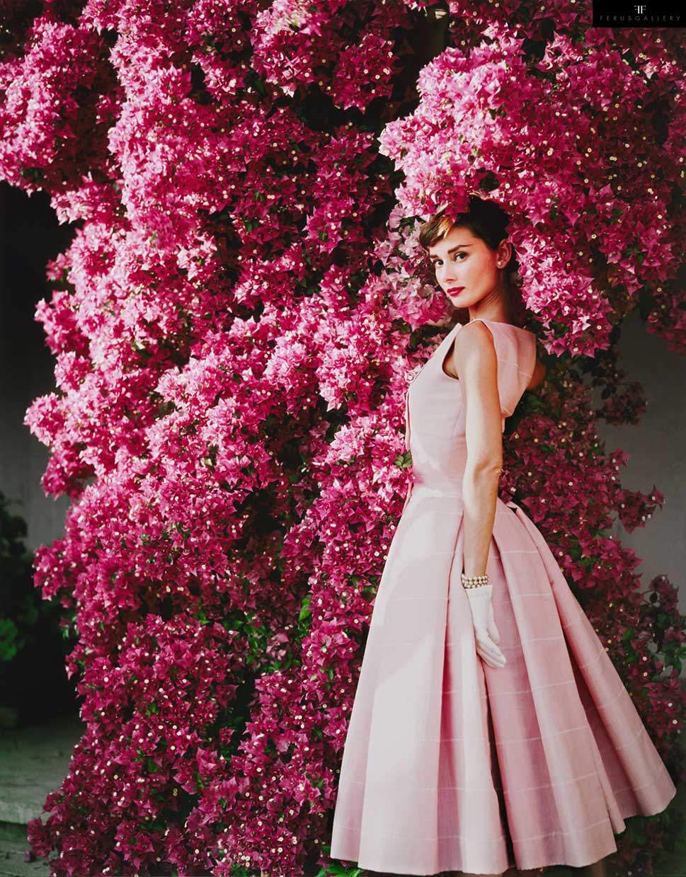 Audrey Hepburn photographed by Norman Parkinson