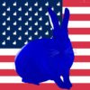 Thierry Bisch rabbit us flag