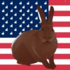 Thierry Bisch rabbit us flag