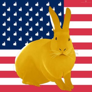 Thierry Bisch rabbit us flag