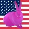 Thierry Bisch rabbit us flag