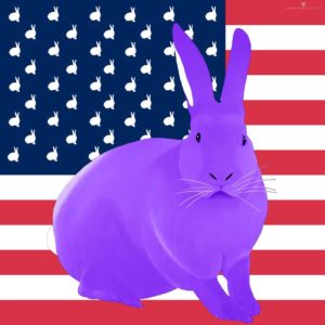 Une édition limité des lapins drapeaux US par Thierry Bisch
