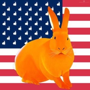Une édition limité des lapins drapeaux US par Thierry Bisch