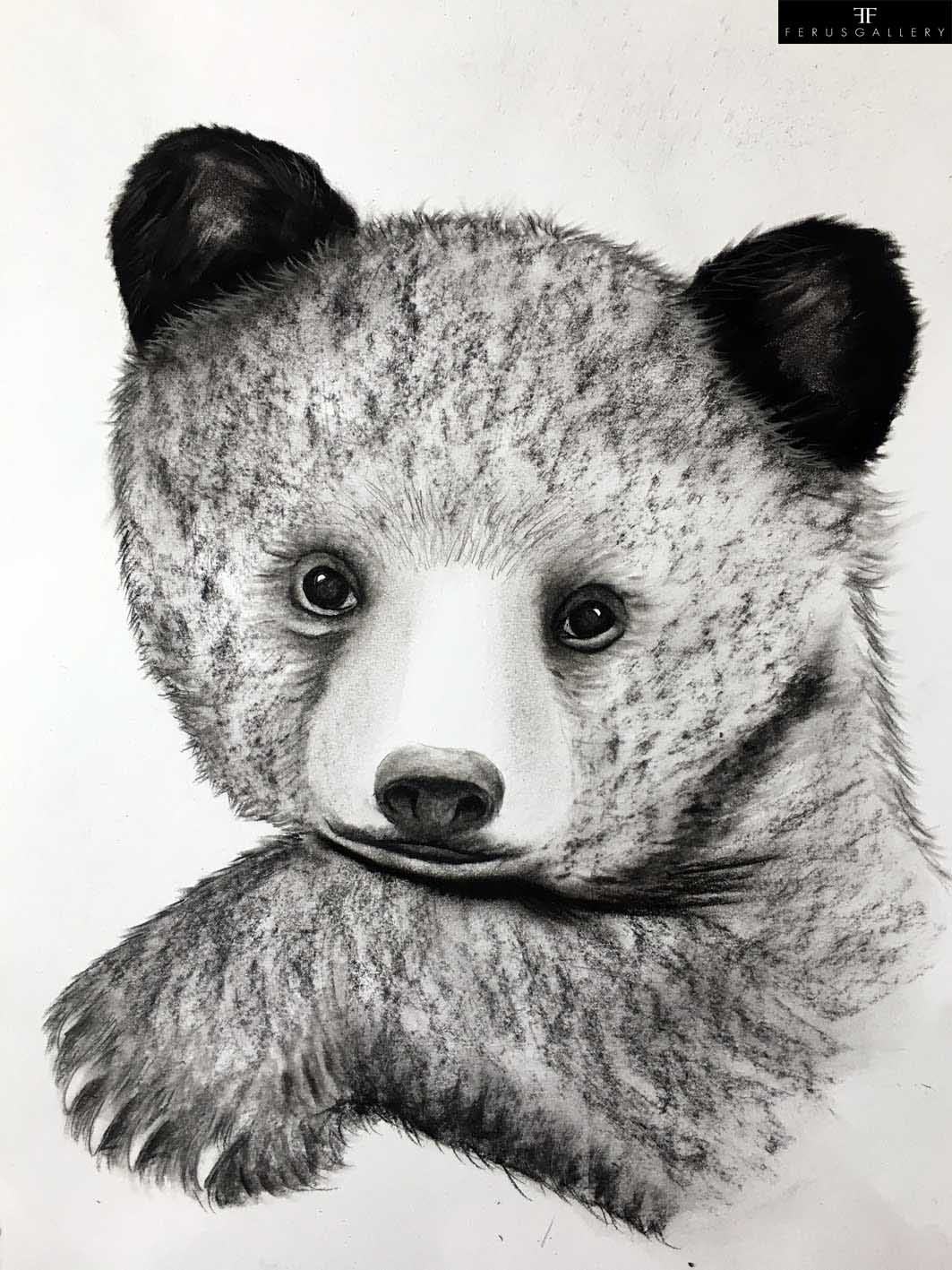 Bear Cub 3 drawing by Thierry Bisch