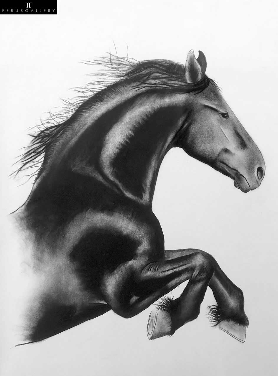 Black Horse drawing by Thierry Bisch