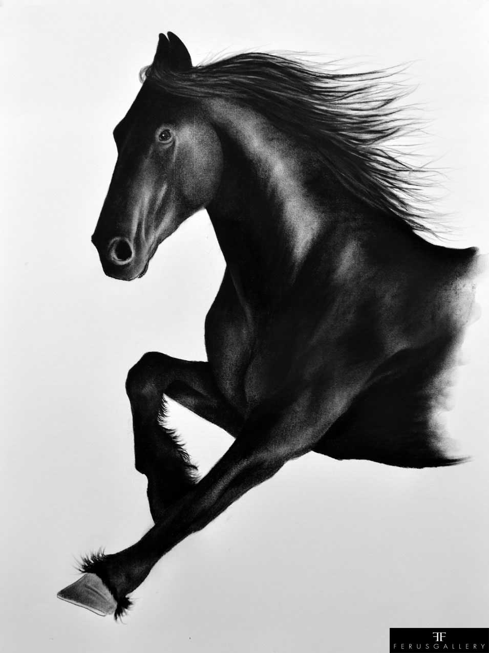 Fresian Horse drawing by Thierry Bisch