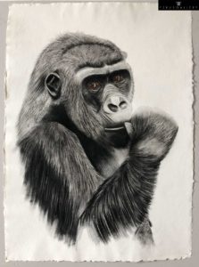 Dessin Mme Gorille par Thierry Bisch