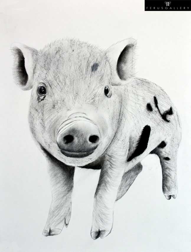 Piggy 2 drawing by Thierry Bisch