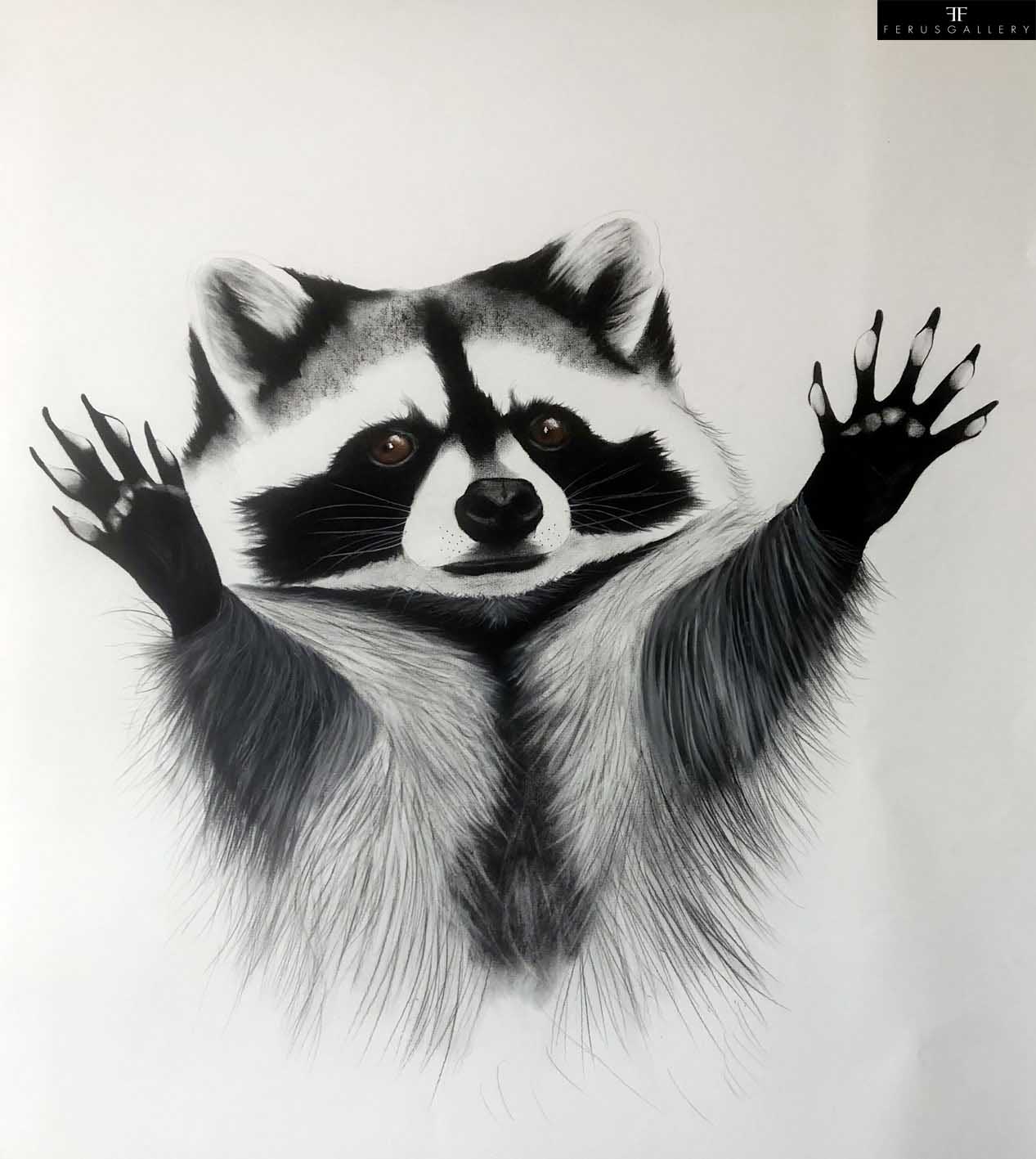 Racoon drawing by Thierry Bisch