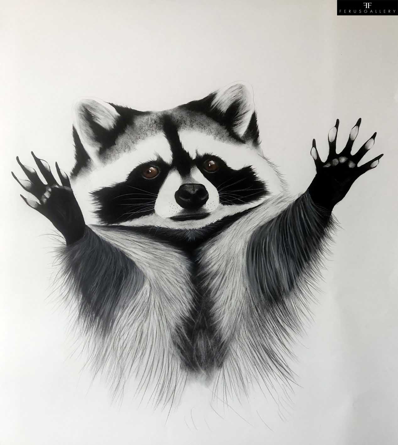 Dessin Racoon par Thierry Bisch