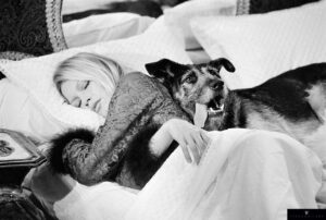 Brigitte Bardot dans le film "Les Novices" de Guy Casaril en 1970