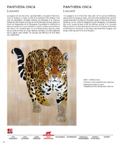 Panthera Onca - Publication du livre Delete? de Thierry Bisch